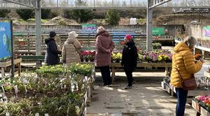 Garden centre plantarea customers